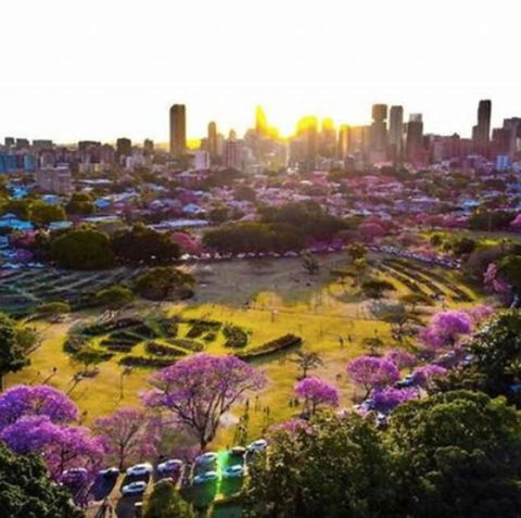 Perfect Haven In Spring Hill 2B1B And Parking - Hotel Gold Coast 2