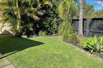 Pets Welcome Central And Convenient with Hotel Gold Coast