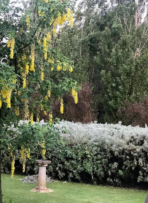 Pierrepoint Accommodation - Hotel Gold Coast 1