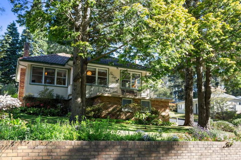 Pine Lodge - Hotel Gold Coast 0