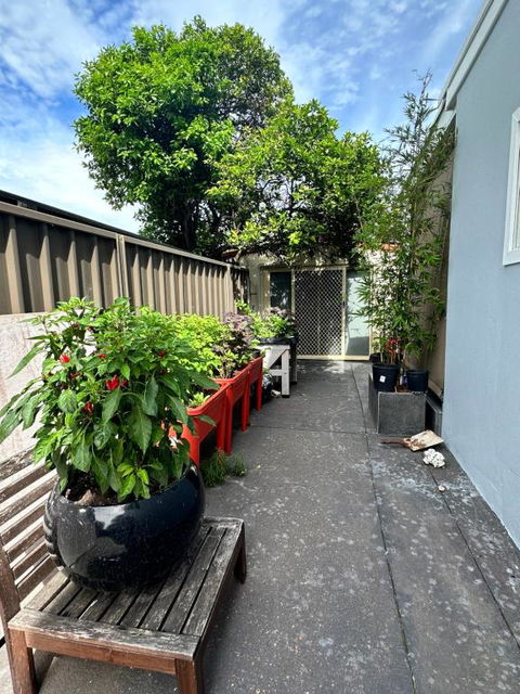 Private, Local Living Studio In Mascot, Airport - Hotel Gold Coast 2