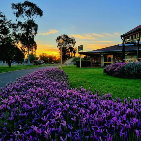Quality Inn Carriage House - Hotel Gold Coast 1