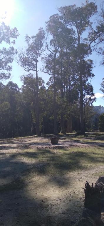 Rail Trail Retreat - Hotel Gold Coast 2