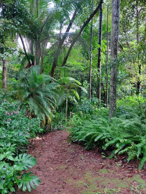 Rainforest Retreat-Fireplace-BBQ-3 Acres- - Hotel Gold Coast 0