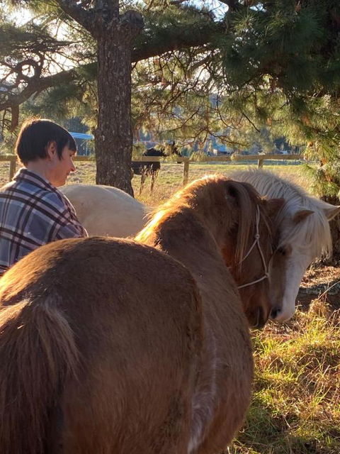 Private Country Escape With Valley Views - Hotel Gold Coast 3