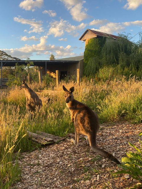 Private Country Escape With Valley Views - Hotel Gold Coast 2