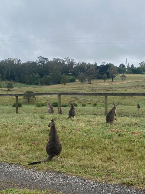 Private Country Escape With Valley Views - Hotel Gold Coast 1