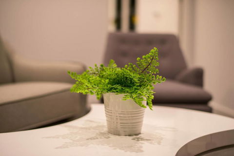 Astrina 2 Bed Value Apartment - Hotel Gold Coast 1