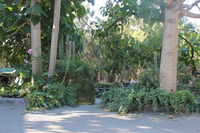 Book Macclesfield Accommodation Vacations Hotel Gold Coast Hotel Gold Coast