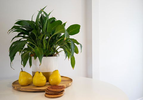 Azure Beach Retreat - Spa Luxury - Hotel Gold Coast 2