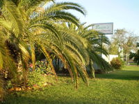 Book Winton Accommodation Vacations Hotel Gold Coast Hotel Gold Coast
