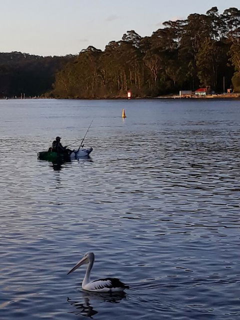 Bay Executive Motel - Hotel Gold Coast 2