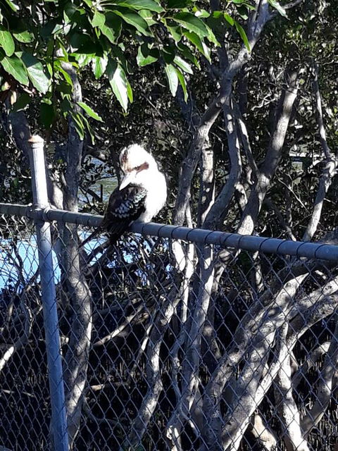 Bay Executive Motel - Hotel Gold Coast 3