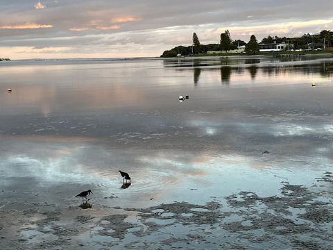 River Studio - Idyllic Location - Hotel Gold Coast 0