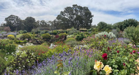 River Gardens Axedale Pet Friendly Farmstay B&B - Hotel Gold Coast 0