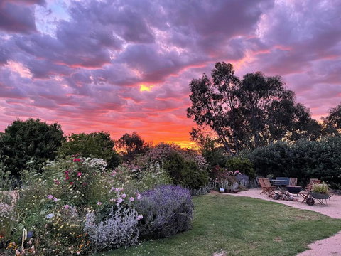 River Gardens Axedale Pet Friendly Farmstay B&B - Hotel Gold Coast 3