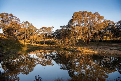 Rose Quartz - 1 Bed With Mountain Views - Kundalini Lodge - Hotel Gold Coast 1