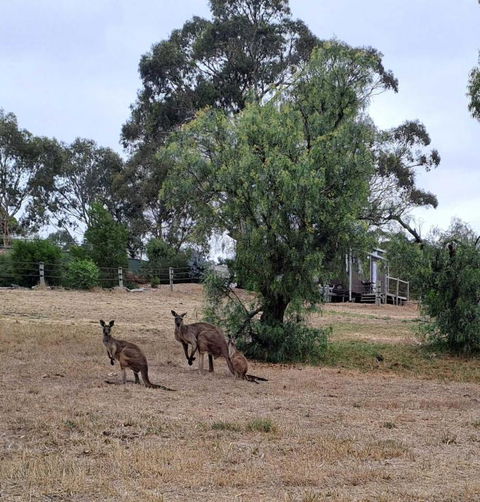 Rosewood Mac By Tiny Away - Hotel Gold Coast 3