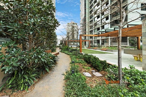 Sakura Apartment - Hotel Gold Coast 3