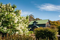 Book Lymington Accommodation Vacations Hotel Gold Coast Hotel Gold Coast