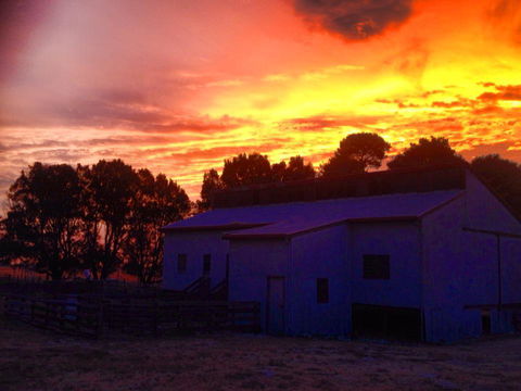 Beggs Farmstay B&B - Hotel Gold Coast 1
