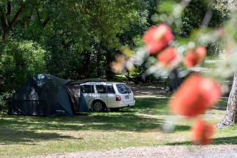 Belair National Park Holiday Park - Hotel Gold Coast 0