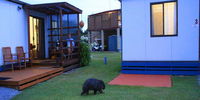Book Kelso Accommodation Vacations Hotel Gold Coast Hotel Gold Coast