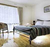 Bindi - Pet Friendly - Hotel Gold Coast