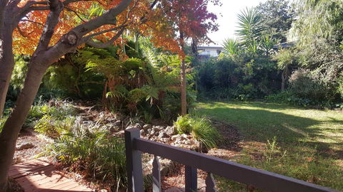 Bird N Branch - Hotel Gold Coast 1