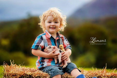 Blackwattle Farm - Hotel Gold Coast 0