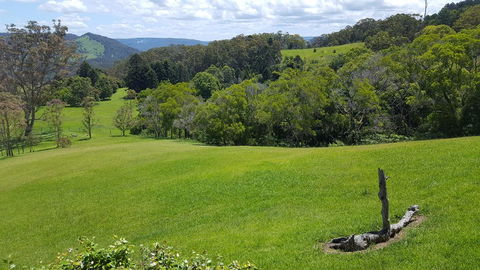 Blue Summit Cottages - Hotel Gold Coast 3