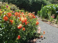 Book Boat Harbour Accommodation Vacations Hotel Gold Coast Hotel Gold Coast