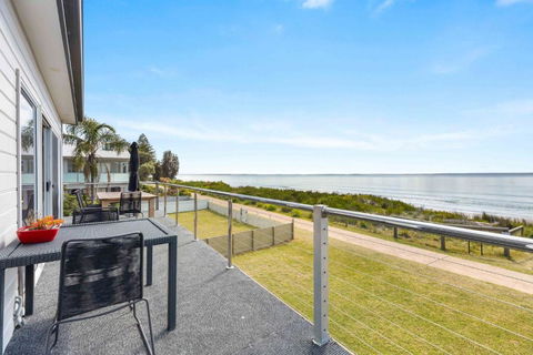 Weedy Seadragon By Experience Jervis Bay - Hotel Gold Coast 2