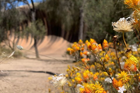 The Big Wave Rock (Private) Day Tour - Hotel Gold Coast 3
