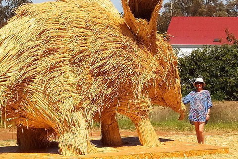 The Big Wave Rock (Private) Day Tour - Hotel Gold Coast 5