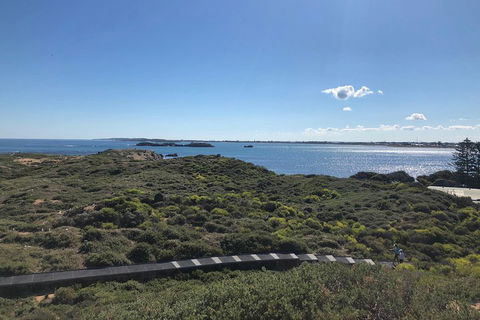 Penguin Island And Fremantle - Canoe, Chocolate & Coffee - Hotel Gold Coast 0