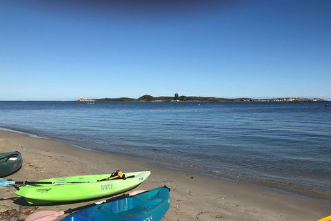 Penguin Island And Fremantle - Canoe, Chocolate & Coffee - Hotel Gold Coast 2