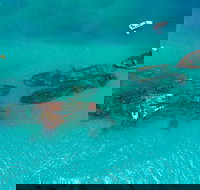 Private Tangalooma Wrecks Tour - Hotel Gold Coast