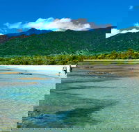 5-Day Best of Cairns with Daintree Kuranda and Great Barrier Reef - Hotel Gold Coast
