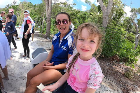Whitehaven Beach Day Tour With Snorkel In Whitsundays Island - Hotel Gold Coast 1