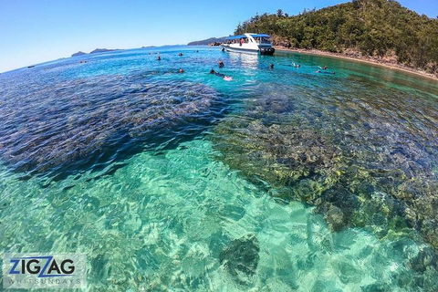 Whitehaven Beach Day Tour With Snorkel In Whitsundays Island - Hotel Gold Coast 5
