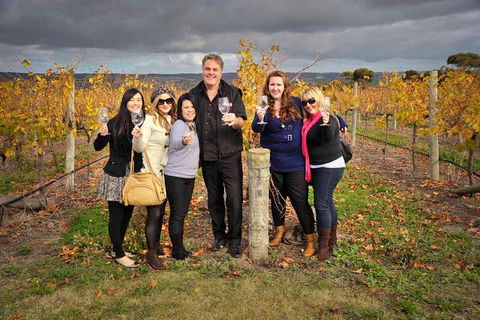 McLaren Vale Winery Small Group Tour With Wine Tasting And Lunch - Hotel Gold Coast 3