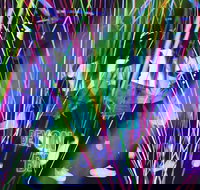 Infinity Attraction - Admission - Hotel Gold Coast