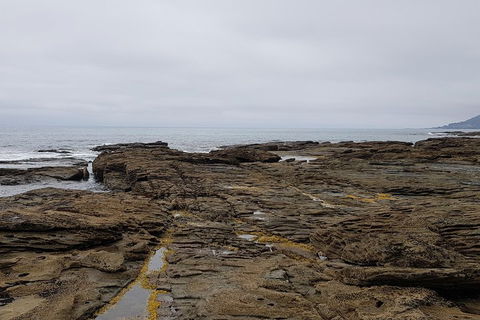 Luxury Private Great Ocean Road Tour Up To 11 People - Entire Vehicle - Hotel Gold Coast 1