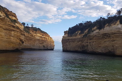 Luxury Private Great Ocean Road Tour Up To 11 People - Entire Vehicle - Hotel Gold Coast 2