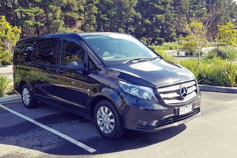 Luxury Private Great Ocean Road Tour Up To 11 People - Entire Vehicle - Hotel Gold Coast 3
