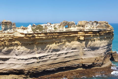 Luxury Private Great Ocean Road Tour Up To 11 People - Entire Vehicle - Hotel Gold Coast 4