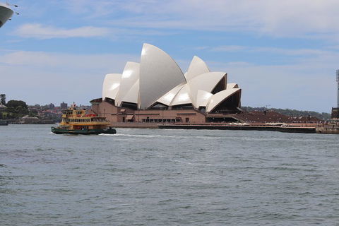 Private Sydney City And Bondi Beach Half Day Tour - Hotel Gold Coast 5