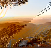 O'Reilly's  Lamington National Park incl. Alpaca Farm  Vineyard - Hotel Gold Coast