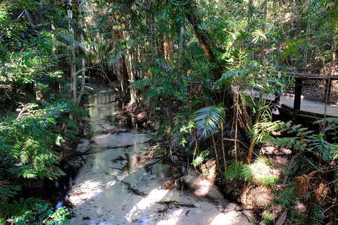 Fraser Island 4WD Tour From Rainbow Beach - Hotel Gold Coast 0
